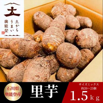 【期間限定】能登町産 里芋 1.5kg