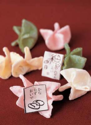 辻占福寿草　12個入