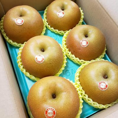 【特大サイズ 贅沢あきづき梨】 6個入り 贈答用ギフト!