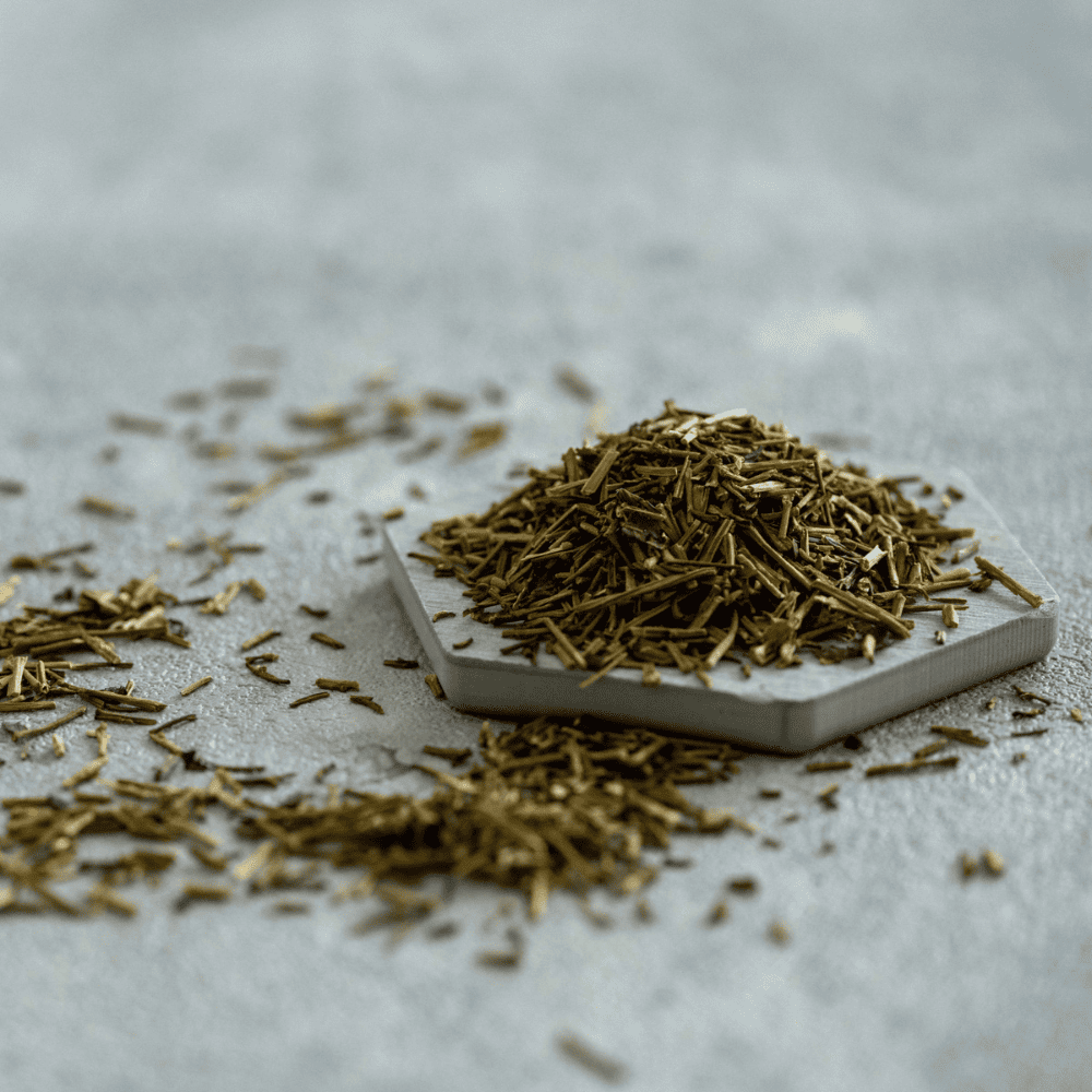 11051610_6729c4d81b6a6.png