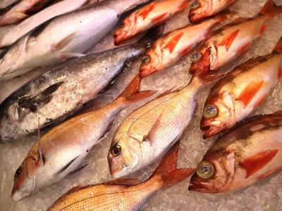 今が旬とれとれお魚セット