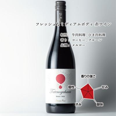 立野原メルロー2022
