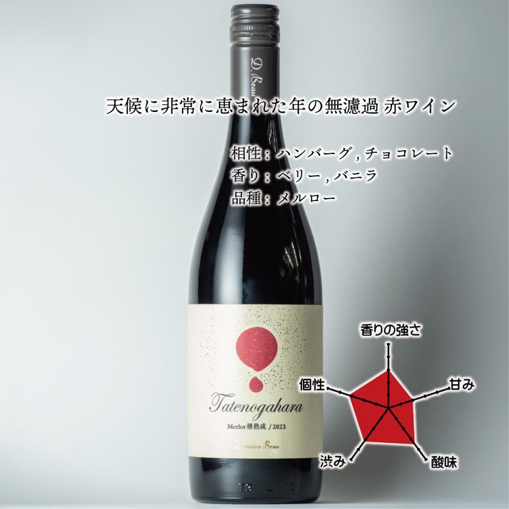 立野原メルロー樽熟成2023