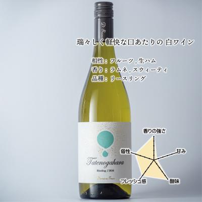 立野原リースリング2024