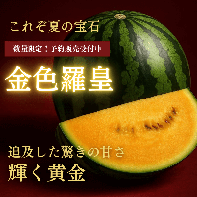 【7/14～7/30予約販売】プレミアムすいか「金色羅皇」(送料込)