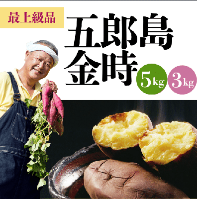 【送料込】五郎島金時生芋　