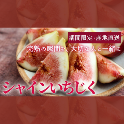 【期間限定】朝採れシャインいちじく