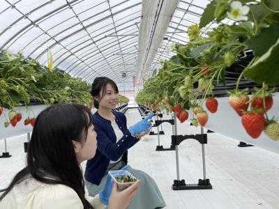 2～3月限定!あるぺん村いちご狩り体験