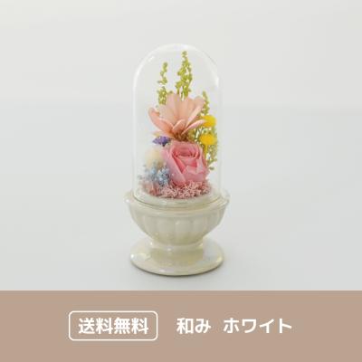 和み ホワイト