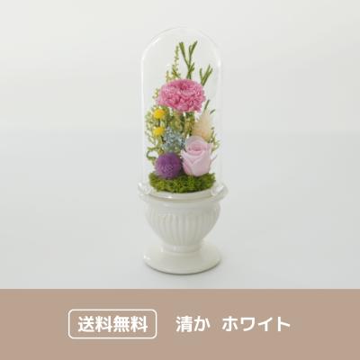 清か ホワイト