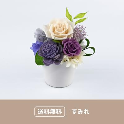 すみれ