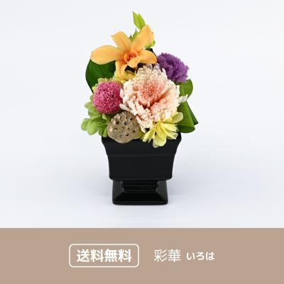 彩華 -いろは-