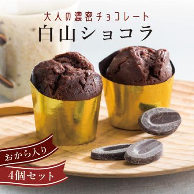 大人の濃密チョコレートケーキ～【白山ショコラ】白山堅豆腐のおから使用!ヘルシーで濃厚!<送料無料>