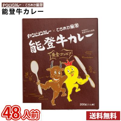 48人前 金沢カレー チャンピオンカレー × てらおか風舎　能登牛カレー レトルトカレー 48食