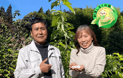 能登にシルクの未来を!養蚕業復活プロジェクト