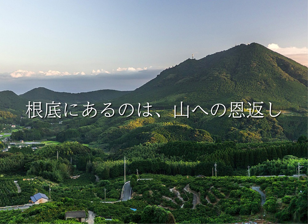 加賀木材