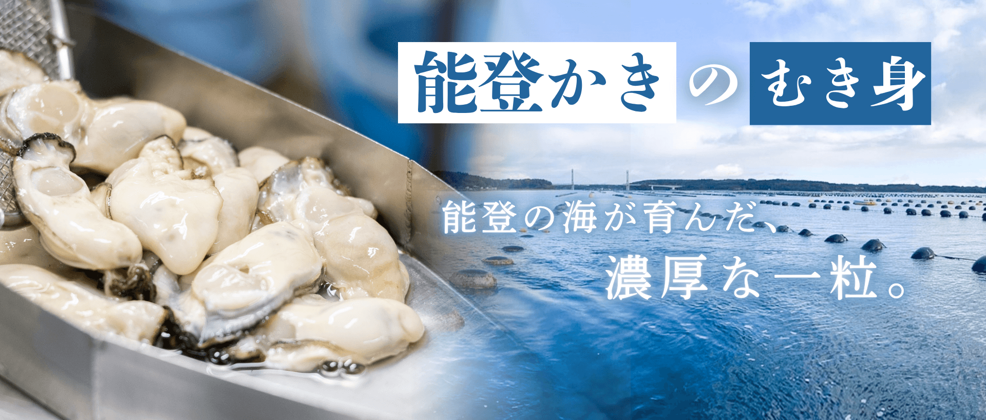 石川県産 能登かきのむき身